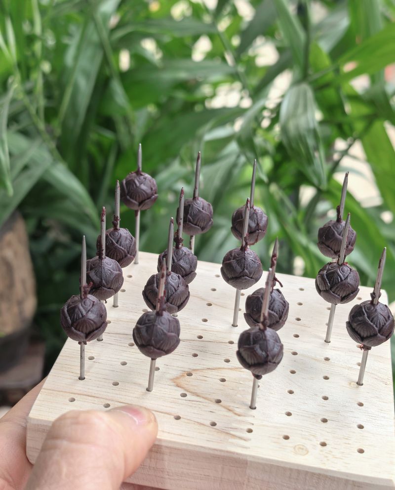 母女连“香”，两代人的手作时光，把爱揉进香气里